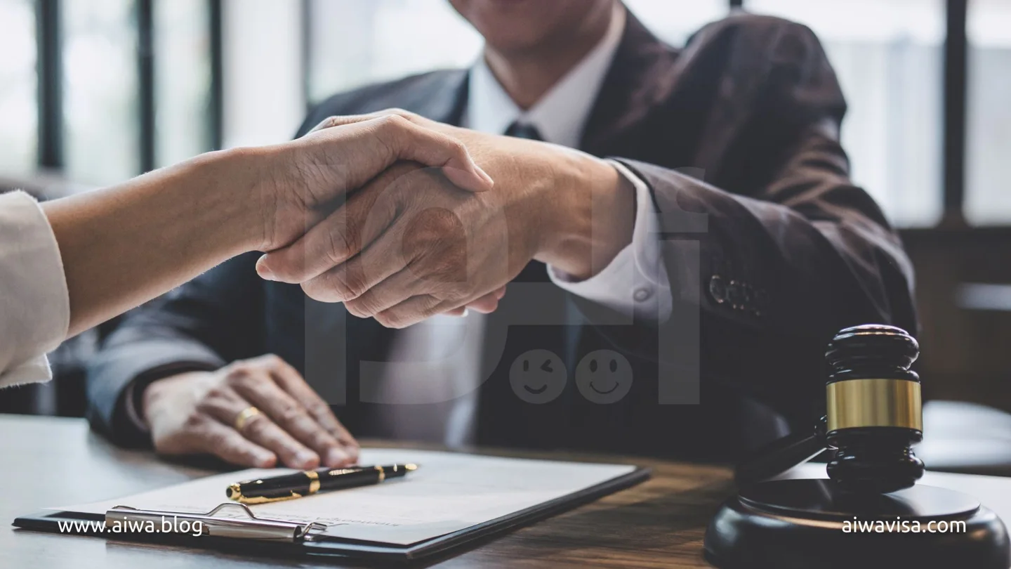 Efficiency and Accuracy: How AiwaVisa Software Elevates Visa Services